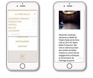 AC-GALA-ETOILES-ALEXANDRA-CARDINALE-OPERA-BALLET-PRODUCTION-GALA-D-ETOILES-SITE-WEB-RESPONSIVE-KATELO