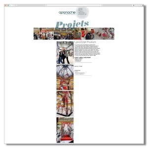 APANACHE-GLOBAL-RETAIL-SOLUTIONS-SITE-WEB-3-KATELO