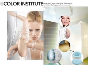 SCHWARZKOPF-PROFESSIONAL-COLOR-INSTITUTE-1-KATELO