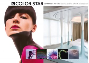 SCHWARZKOPF-PROFESSIONAL-COLOR-STAR-2-KATELO