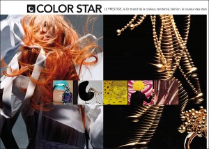 SCHWARZKOPF-PROFESSIONAL-COLOR-STAR-3-KATELO