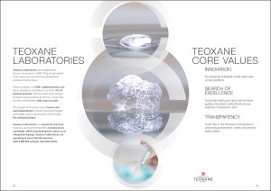 TEOXANE-BROCHURE-INSTITUTIONNELLE-3-KATELO